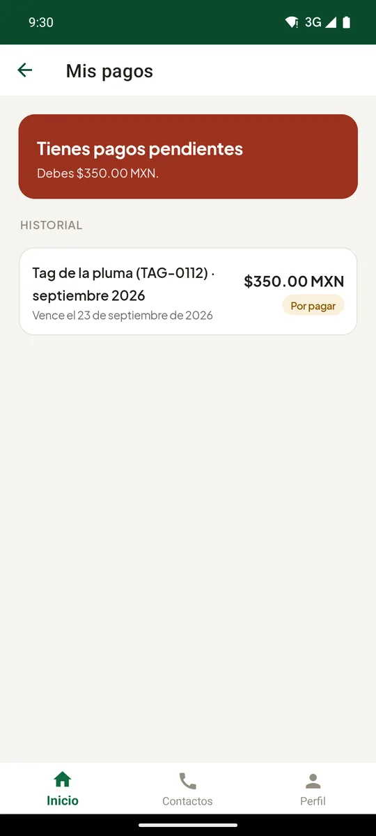 Mis pagos